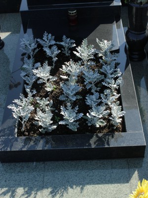Цветник на могилу с надгробной плитой