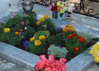 Растения для кладбища