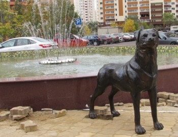 Памятник собаке в Реутове