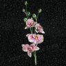 Бронзовый барельеф Орхидеи 29209