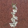 Бронзовый барельеф Орхидеи 29327
